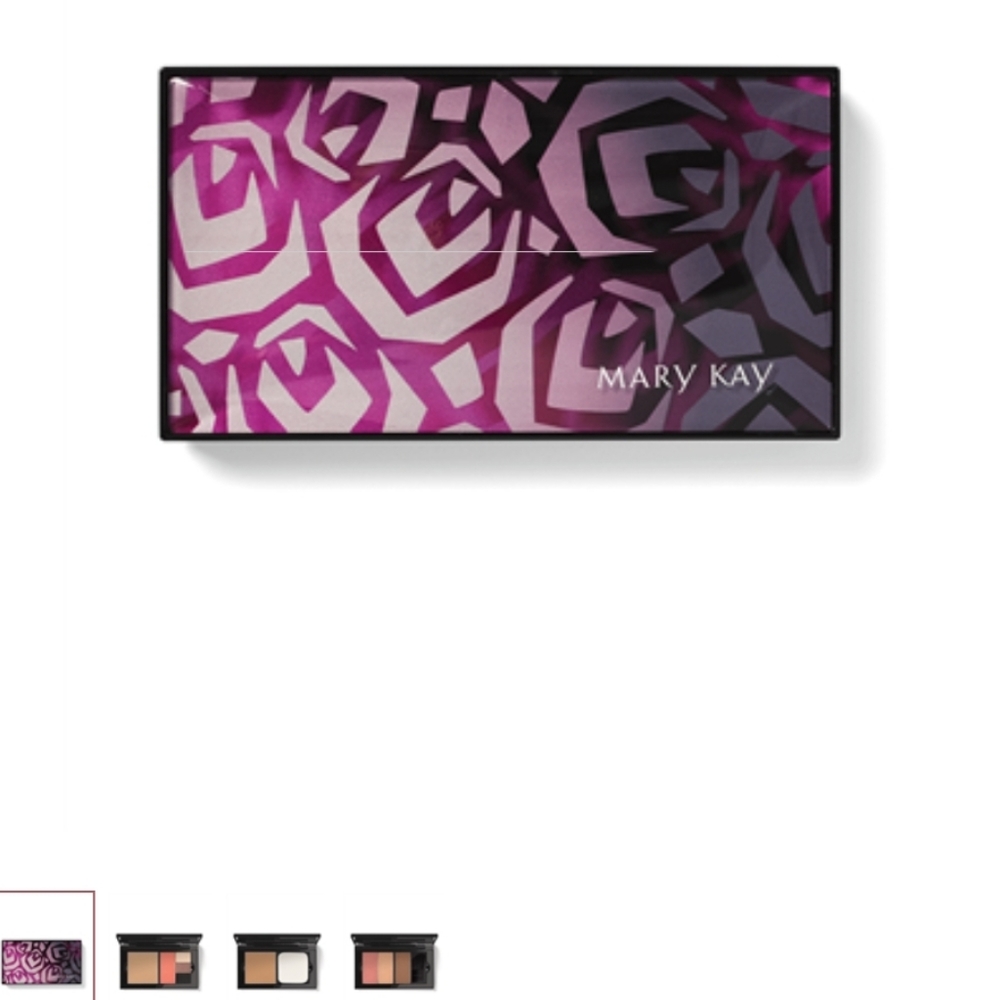 Mary Kay Perfect Palette (unfilled)